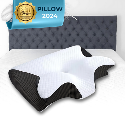DreamSleep Orthopedic Pillow