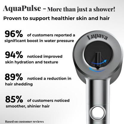 AquaPulse Showerhead Kit