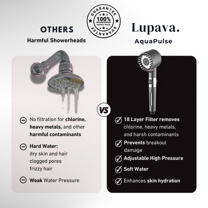 AquaPulse Showerhead Kit